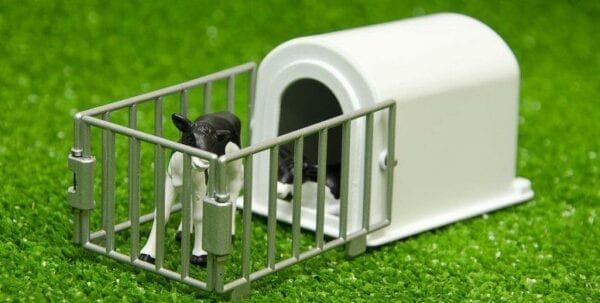 Kids Globe 1:32 Calve Hutch and Pen with 2 Calves - Image 2