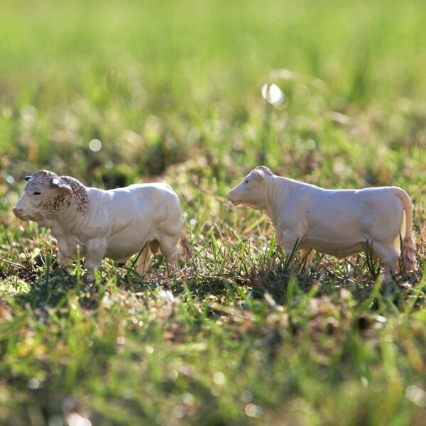 Britains 1:32 Charolais Cow Set - Image 4