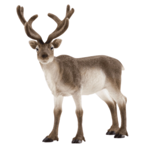 Schleich 14837 Reindeer