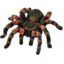 Schleich 14829 Tarantula