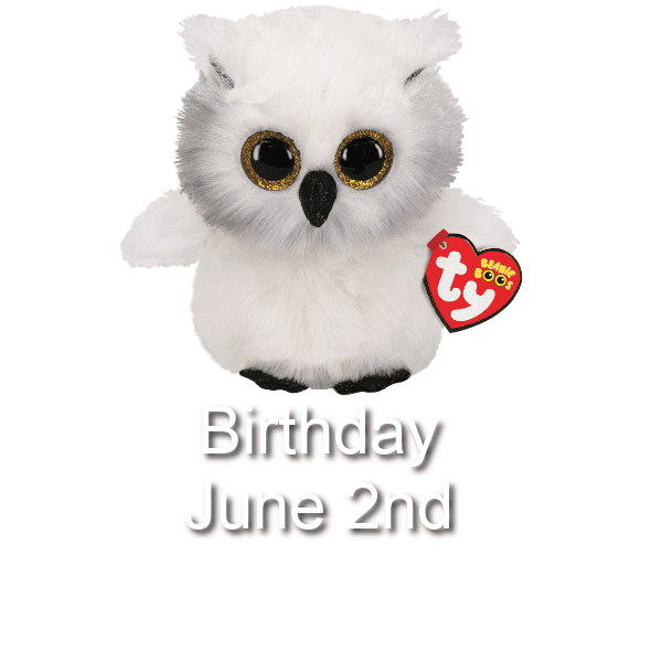 Disha Ty Beanie Boos Austin Owl TY Beanie Boos Babies Austin Dog