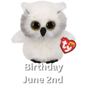 TY Beanie Boos - Austin 15cm (Small)