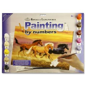 Adult Painting By Numbers - Horses Gone With Wind