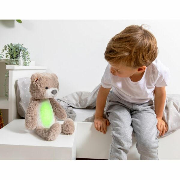 Brody The Bear Soother And Sleeptrainer