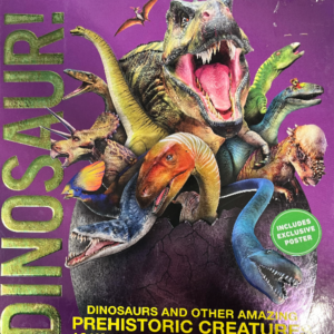 Dinosuar Book