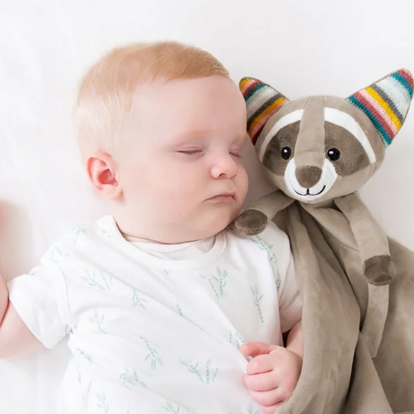 ZAZU Robin The Racoon Baby Comforter - Image 4