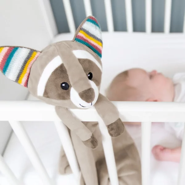 ZAZU Robin The Racoon Baby Comforter - Image 2