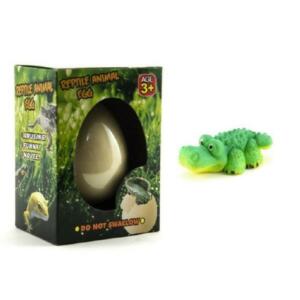 Growing Reptile Egg