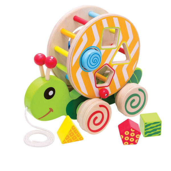Shape Sorting Turtle