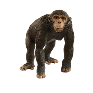 Schleich 14883 Chimpanzee
