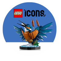 LEGO Adults