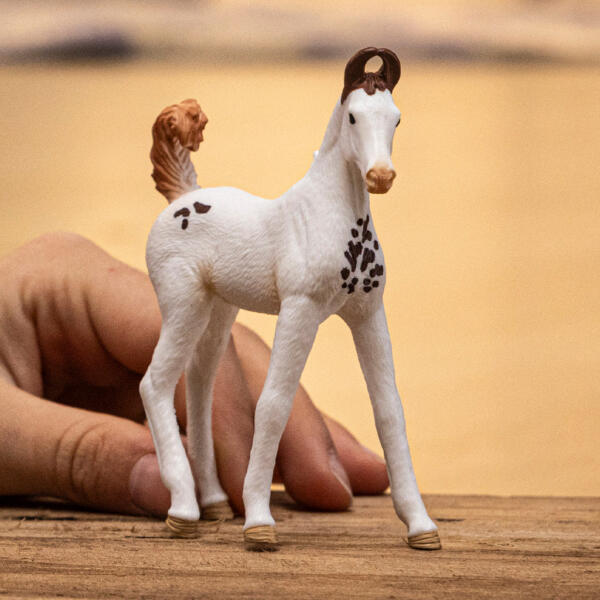 Schleich 14896 Marwari Foal - Image 2