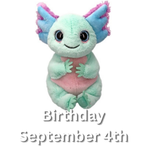 Ty Beanie Bellies – Alex Axolotl 15cm (small)