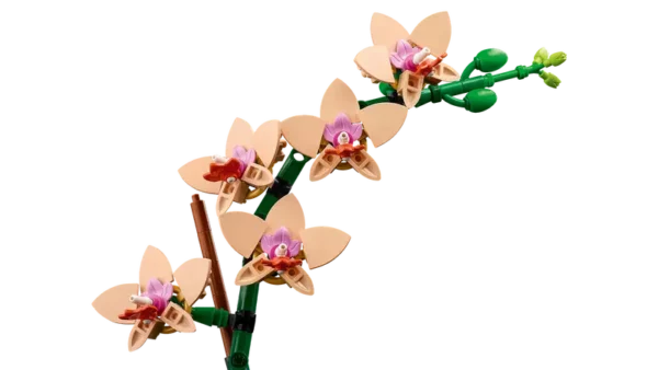 LEGO 10343 Mini Orchard - Image 4