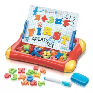 Magnetic Learning Case