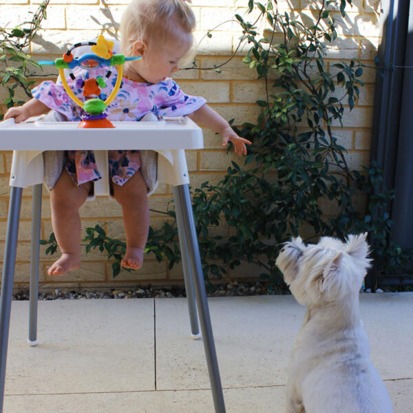 Playgro High Chair Spinning Toy - Image 3