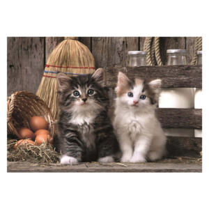 Clementoni Lovely Kittens 1000 Piece Puzzle