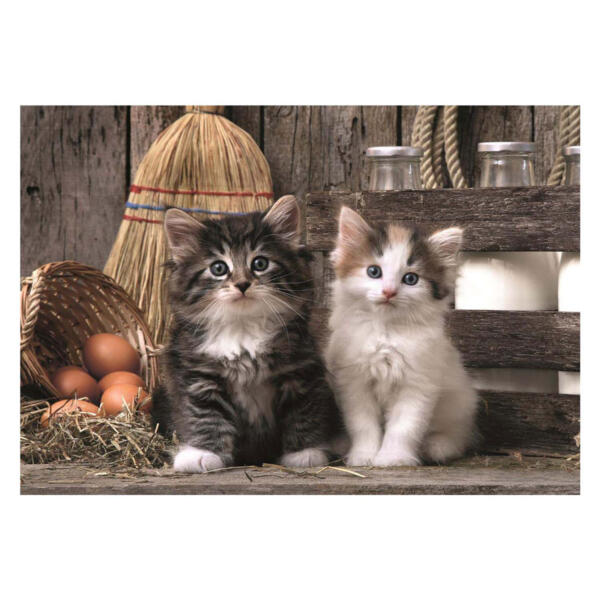Clementoni Lovely Kittens 1000 Piece Puzzle