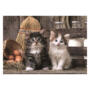 Clementoni Lovely Kittens 1000 Piece Puzzle