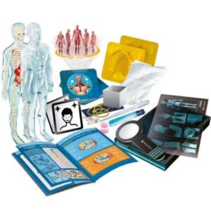 Clementoni Science & Play Super Anatomy (STEM)