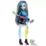 Monster High Doll Frankie Stein with Pet