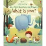 What Is Poo Lift The Flap Book