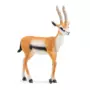Schleich Wildlife 14861 Thomson Gazelle