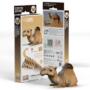 EUGY 3D Camel Model Craft Kit (STEM)