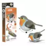 EUGY 3D Robin Model Craft Kit (STEM)