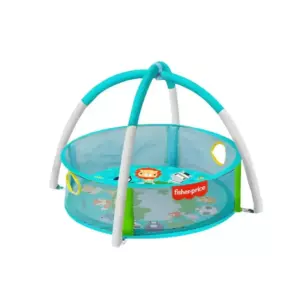 Fisher-Price Baby Ball Pit With 25 Balls