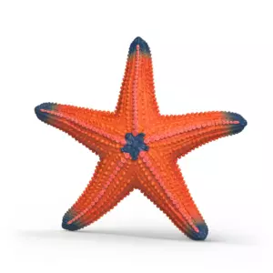 Schleich Wildlife 14902 Colour Changing Starfish