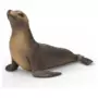 Schleich Wildlife 14933 Sea Lion