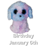 TY Beanie Boos - Flora the Poodle 15cm (Small)