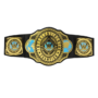 WWE Intercontinental Championship Title Belt