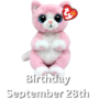 TY Beanie Bellies - Lillibelle the Pink Kitten15cm (Small)