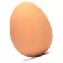 Bouncy Egg (Sensory Toys)
