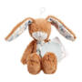 Guess How Much I Love You Nutbrown Hare