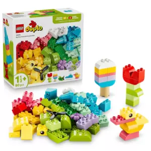 LEGO Duplo 10479 Colourful Creative Box Set