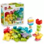 LEGO Duplo 10479 Colourful Creative Box Set