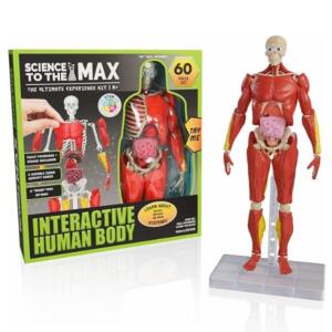 Science To The Max Interactive Human Body (STEM)