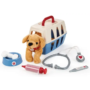Ecoiffier Veterinary Carry Case Set