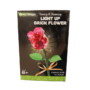 Light Up Brick Flower Assortment (STEM TOYS)